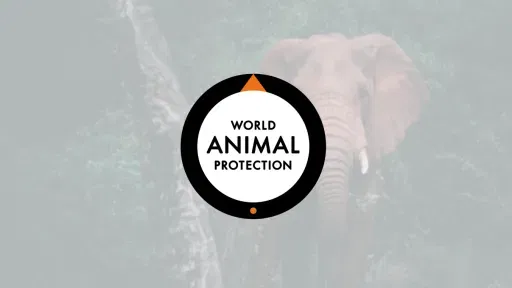 World animal protection